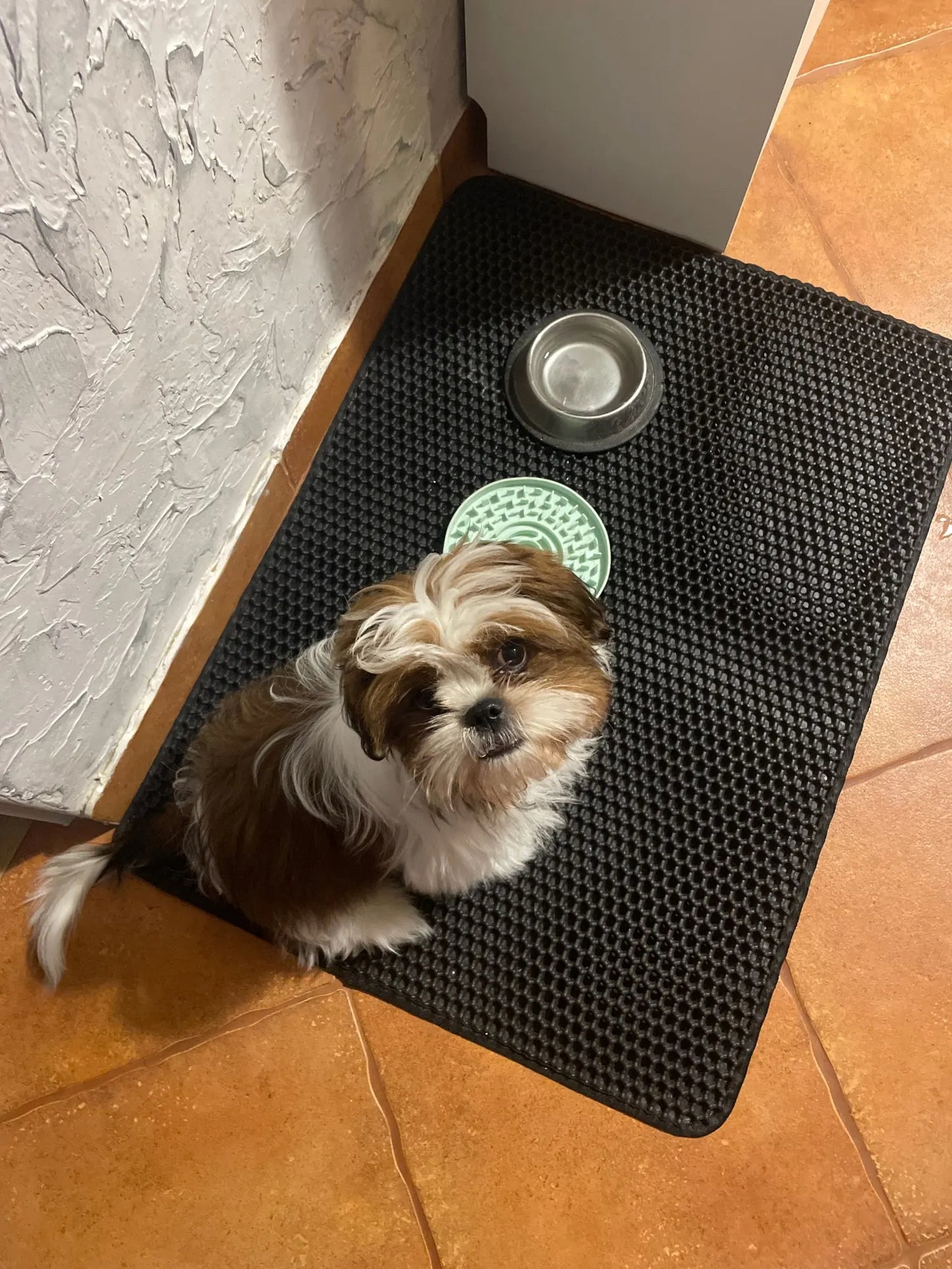 Litter Guard™ Waterproof Floor Mat